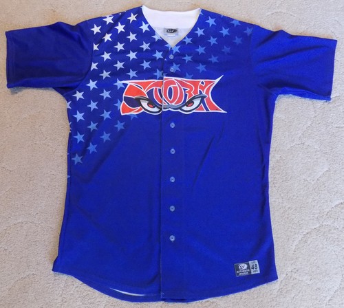2006 lake elsinore storm - 2006,